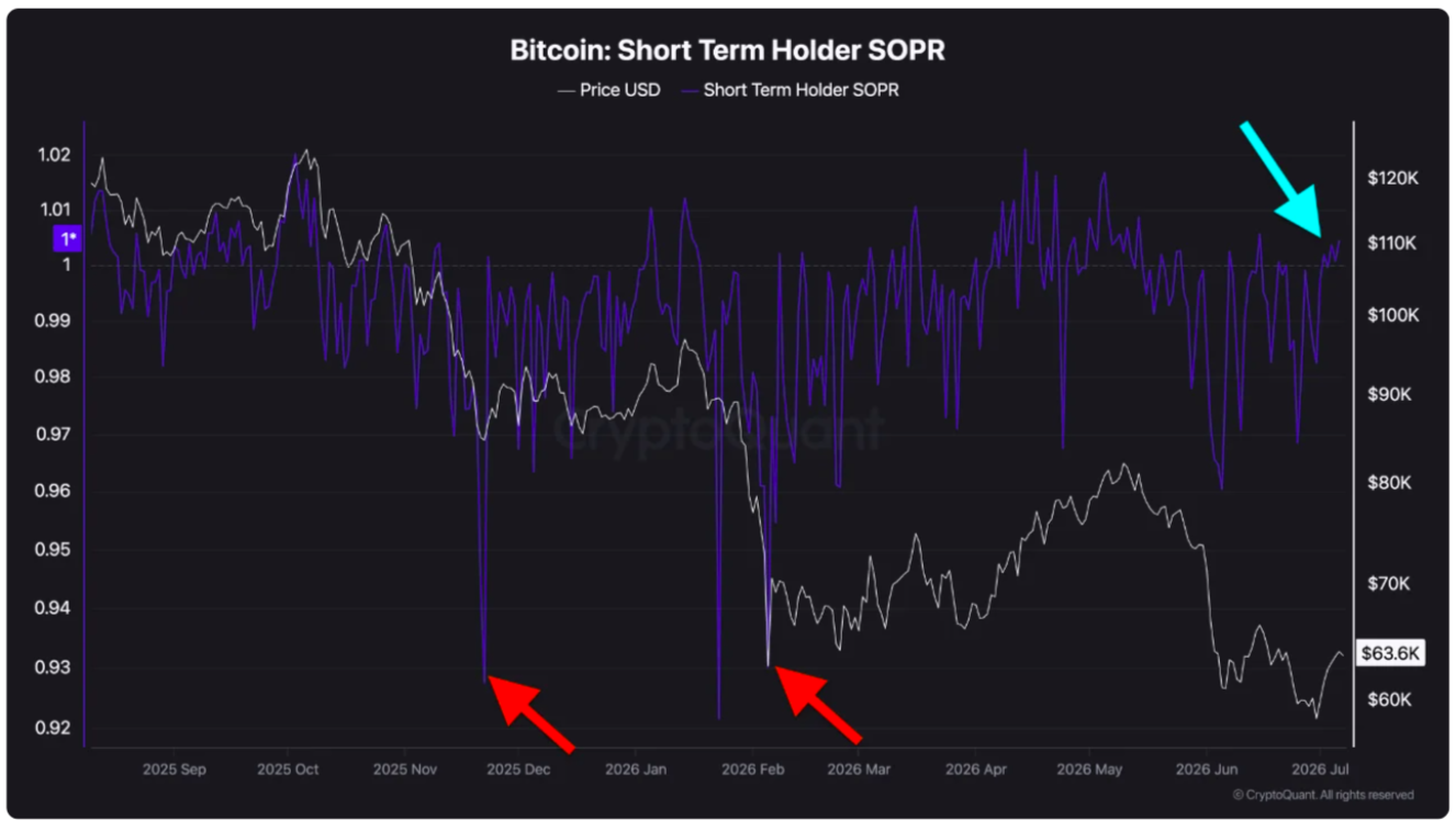 分析称‘教科书式比特币底部’正在形成,BTC投机者成为焦点-区块链文库