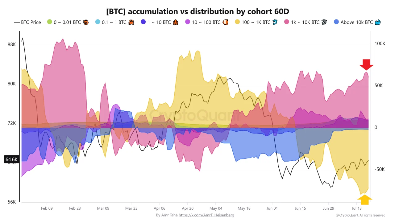 比特币巨鲸增持66,700 BTC,中型持有者加速抛售-区块链文库