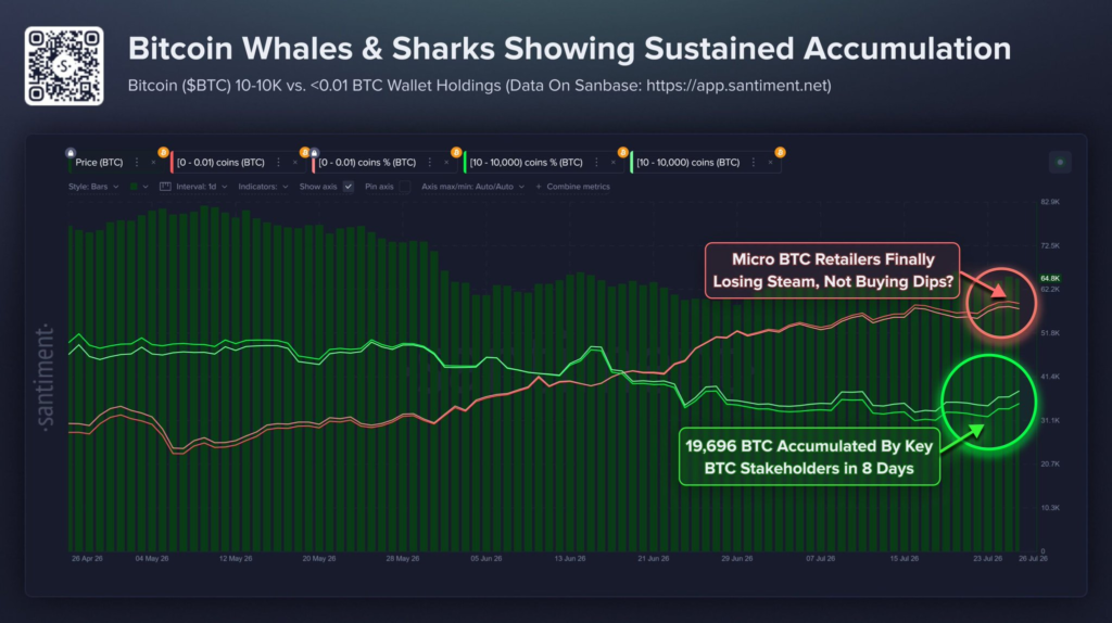 比特币价格跌至63,400美元，鲸鱼却累计增持19,700 BTC-区块链文库