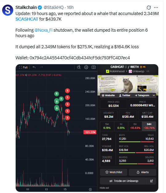 鲸鱼退出后CASHCAT暴跌:Cash Cat价格预测,下一步如何?-区块链文库