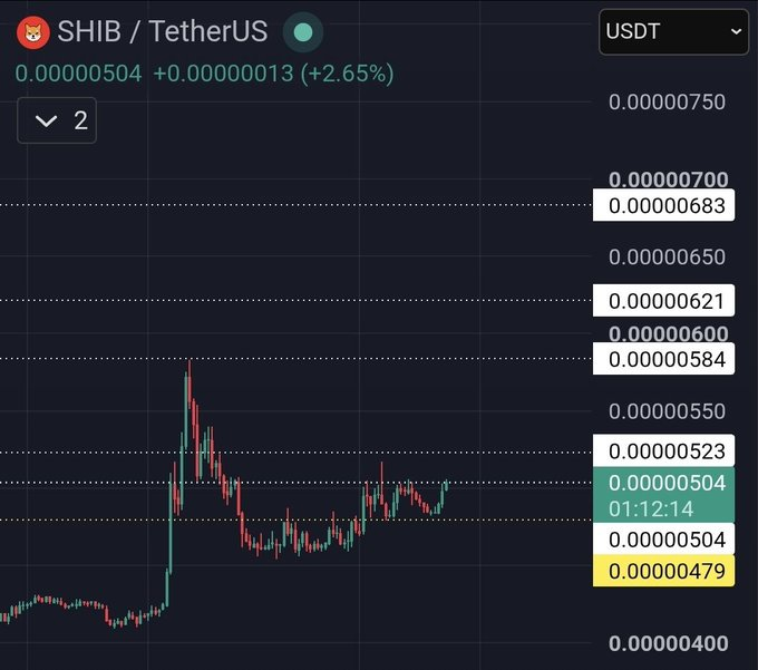 SHIB价格在关键支撑位上方蓄势待发-区块链文库