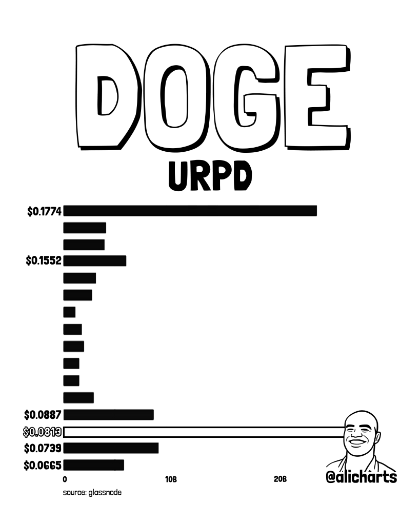 狗狗币价格预测:DOGE重拾涨势,ETF资金流入转正-区块链文库