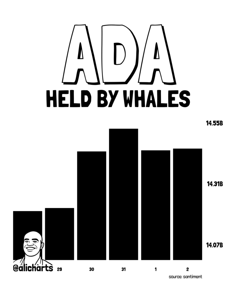 卡尔达诺价格领涨本周加密货币，鲸鱼持有145亿枚ADA-区块链文库