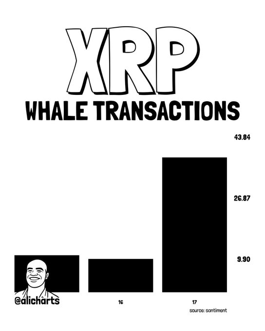 XRP巨鲸活动激增，1美元支撑位坚挺-区块链文库