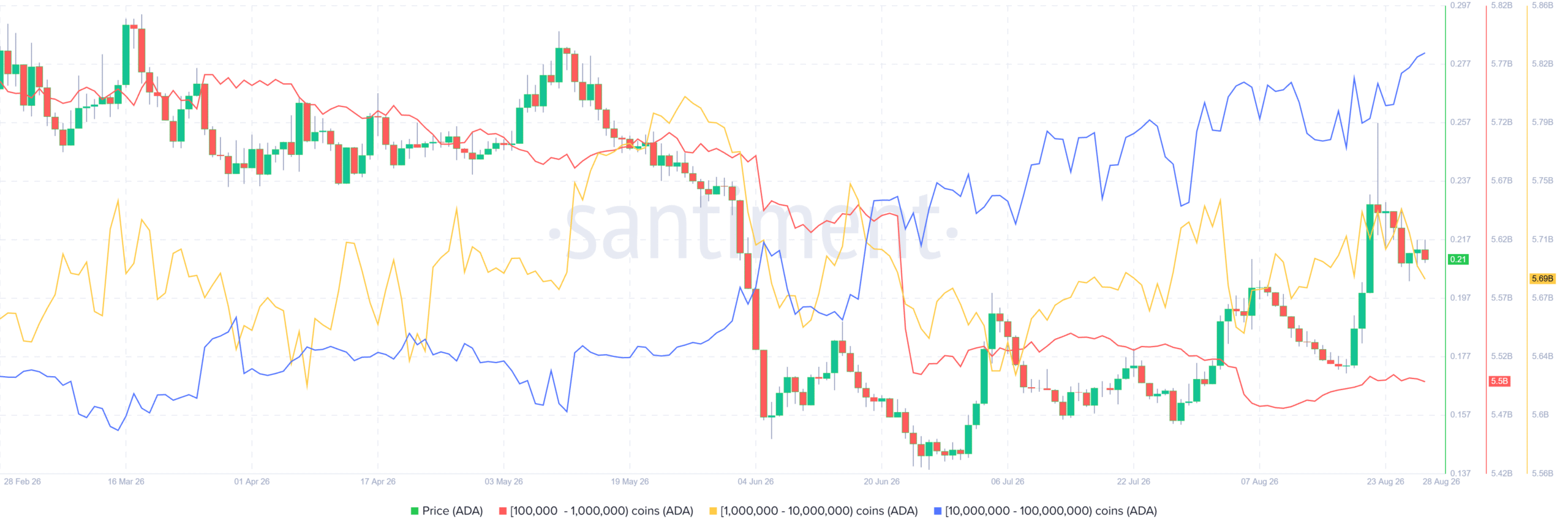 卡尔达诺(ADA)价格周跌7%,大户囤积1.6亿枚代币-区块链文库