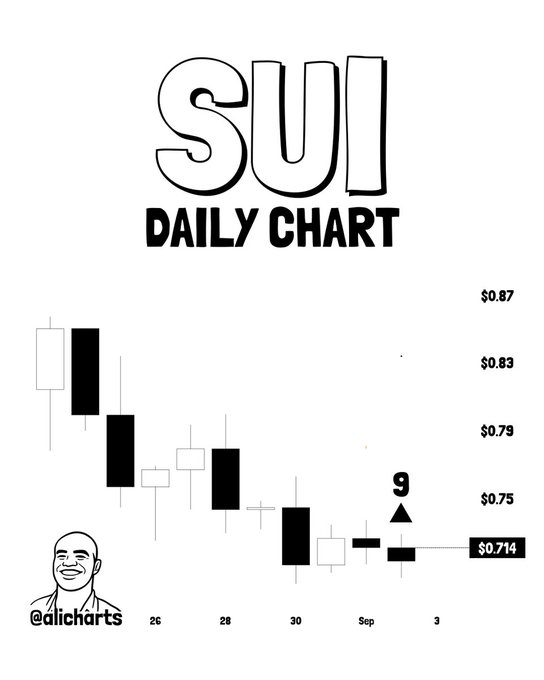 SUI反弹测试突破点,位于0.78美元附近-区块链文库