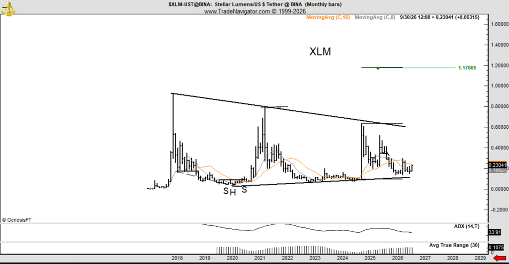 传奇交易员彼得·布兰特押注XRP竞争对手Stellar(XLM)为冷门赢家;他提出了惊人的理论-区块链文库