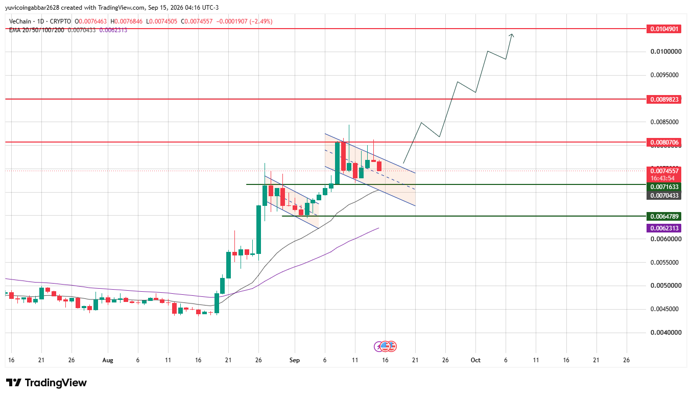 VeChain价格预测：$VET在下一次反弹中能涨10倍吗？-区块链文库