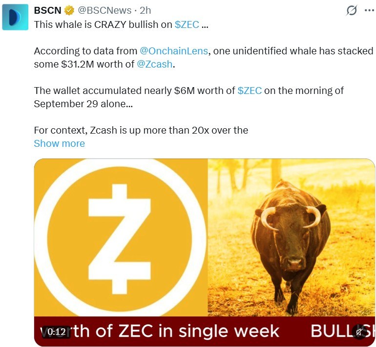 Zcash价格预测：为何鲸鱼对$ZEC极度看好？原因揭秘！-区块链文库