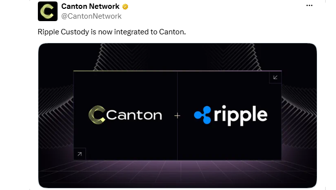 Canton Ripple托管更新：2026年开放Canton Coin面向机构投资者-区块链文库