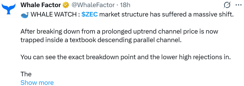 Zcash价格预测:ZEC暴跌警告!牛市已结束?下一步是什么-区块链文库