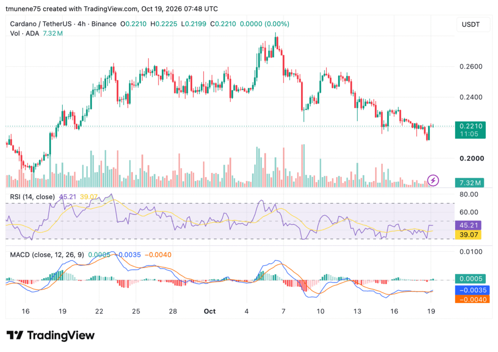 Cardano CIPs 旨在实现代币合规性与现实世界 NFT-区块链文库